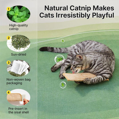 🔥 🐱Interactive Catnip Chew Toy